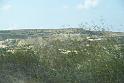 06 Azure Window